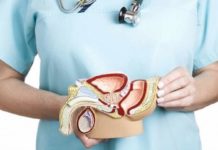 Cancer de la prostate : extrait 102 maladies du XXIe siècle