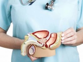 Cancer de la prostate : extrait 102 maladies du XXIe siècle