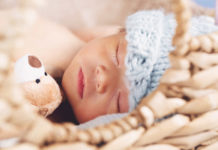 Tout savoir sur le Lactium – Partie 1 : Lactium®, naturellement anti-stress