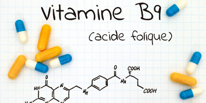 Vitamine B9 (acide folique)