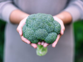 Le sulforaphane de brocoli comme anti-inflammatoire et antidouleur dans les sciatalgies causées par l’endométriose Le sulforaphane de brocoli comme anti-inflammatoire et antidouleur dans les sciatalgies causées par l’endométriose