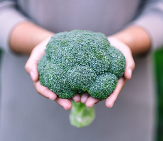 Le sulforaphane de brocoli comme anti-inflammatoire et antidouleur dans les sciatalgies causées par l’endométriose Le sulforaphane de brocoli comme anti-inflammatoire et antidouleur dans les sciatalgies causées par l’endométriose
