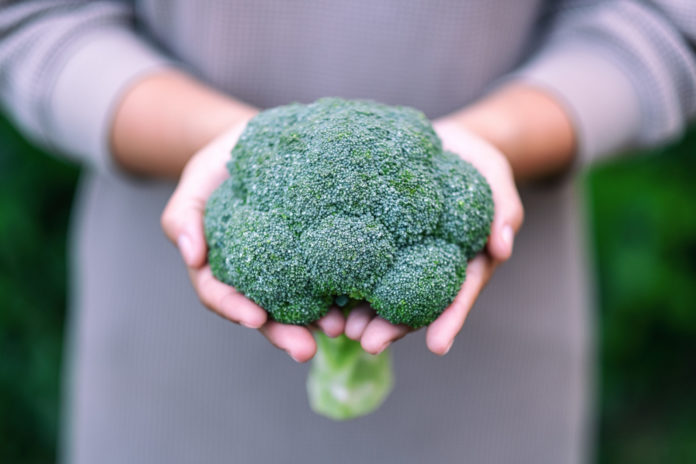 Le sulforaphane de brocoli comme anti-inflammatoire et antidouleur dans les sciatalgies causées par l’endométriose