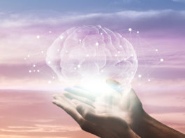 Comment « rajeunir votre cerveau » ?!