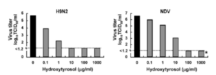 hydroxytyrosol h9n2 ndv