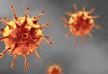 L’hydroxytyrosol aurait un effet antiviral sur le virus de la grippe Hydroxytyrosol - Grippe - Virus