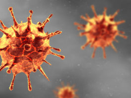 L’hydroxytyrosol aurait un effet antiviral sur le virus de la grippe Hydroxytyrosol - Grippe - Virus