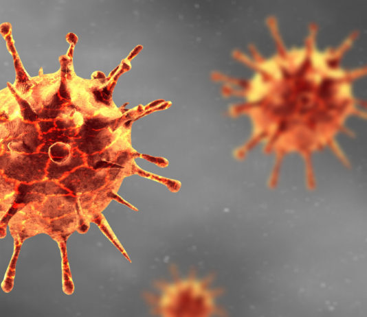 L’hydroxytyrosol aurait un effet antiviral sur le virus de la grippe Hydroxytyrosol - Grippe - Virus