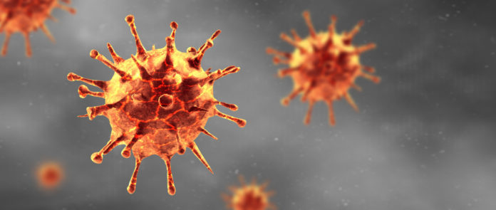 Hydroxytyrosol - Grippe - Virus