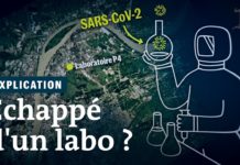 Le coronavirus est-il sorti d’un laboratoire ? Épisode 2 : la thèse de l’accident