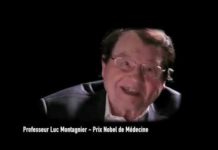 Les Tontons flingueurs du Covid-19