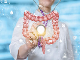 Amertume et intestin en santé Intestin en bonne santé