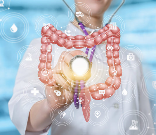 Amertume et intestin en santé Intestin en bonne santé