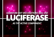 COVID-19: AVEZ-VOUS DÉJÀ ENTENDU PARLER DU PROTOCOLE LUCIFERASE ?
