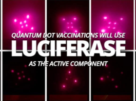 COVID-19: AVEZ-VOUS DÉJÀ ENTENDU PARLER DU PROTOCOLE LUCIFERASE ?