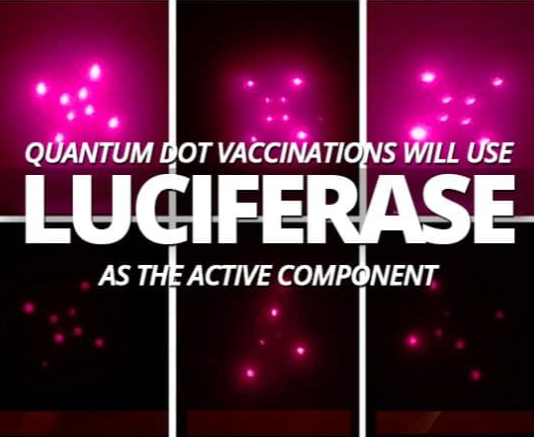 COVID-19: AVEZ-VOUS DÉJÀ ENTENDU PARLER DU PROTOCOLE LUCIFERASE ?