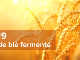 COVID-19 et Germe de blé fermenté COVID-19 et Germe de blé fermenté