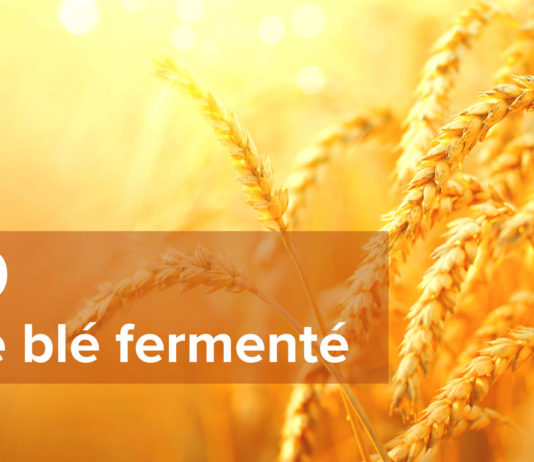 COVID-19 et Germe de blé fermenté COVID-19 et Germe de blé fermenté