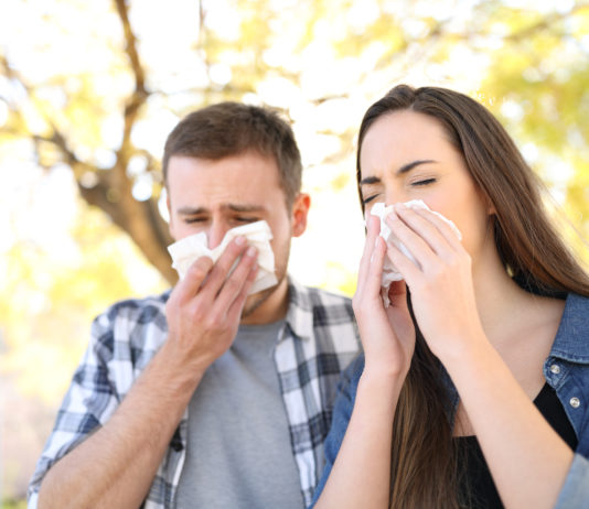 Les allergies : solutions naturelles Les allergies