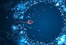 Des compléments alimentaires pour booster la testostérone Des compléments alimentaires pour booster la testostérone