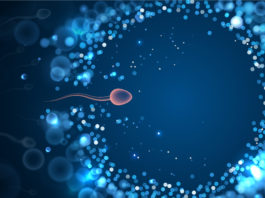 Des compléments alimentaires pour booster la testostérone Des compléments alimentaires pour booster la testostérone