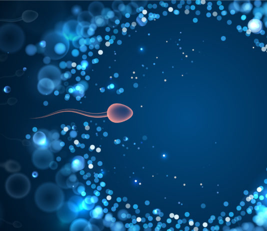 Des compléments alimentaires pour booster la testostérone Des compléments alimentaires pour booster la testostérone