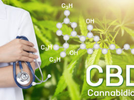 Tout le potentiel du CBD Tout le potentiel du CBD