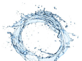 L’argent colloïdal – Silvano Trotta