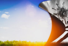 Covid-19: en prévention ou en accompagnement