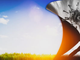 Covid-19: en prévention ou en accompagnement