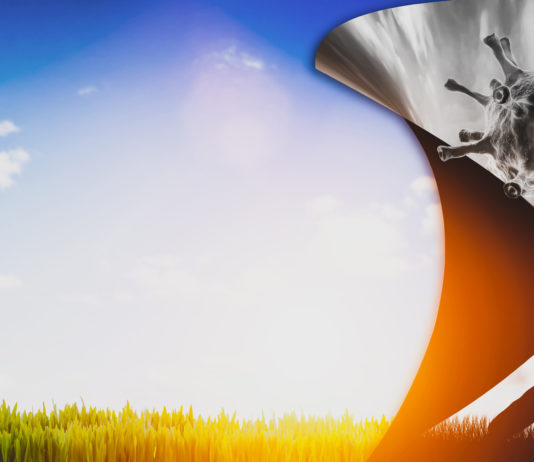 Covid-19: en prévention ou en accompagnement