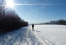 La vitamine D, un bon choix pour rester solide en hiver