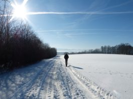 La vitamine D, un bon choix pour rester solide en hiver