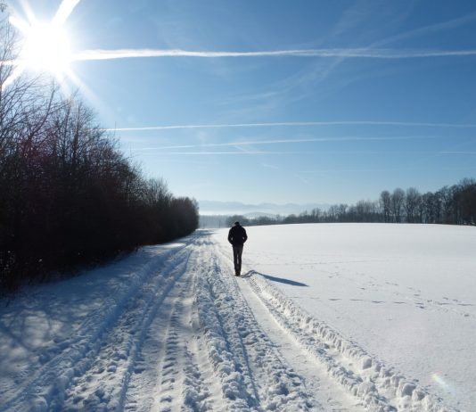 La vitamine D, un bon choix pour rester solide en hiver
