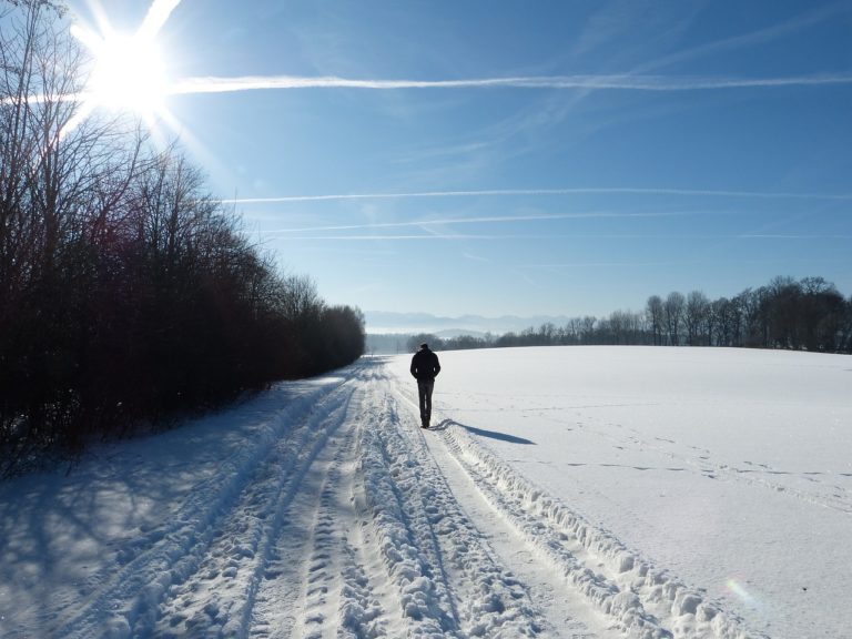 La vitamine D, un bon choix pour rester solide en hiver