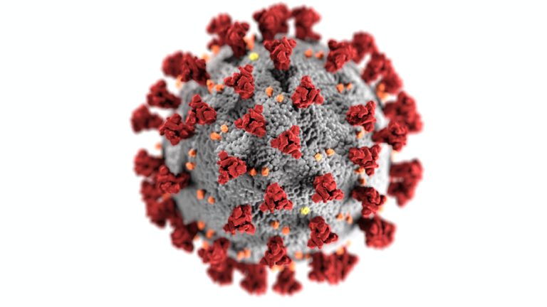 Nattokinase : un nouvel agent anti-COVID